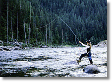 Fly Fishing